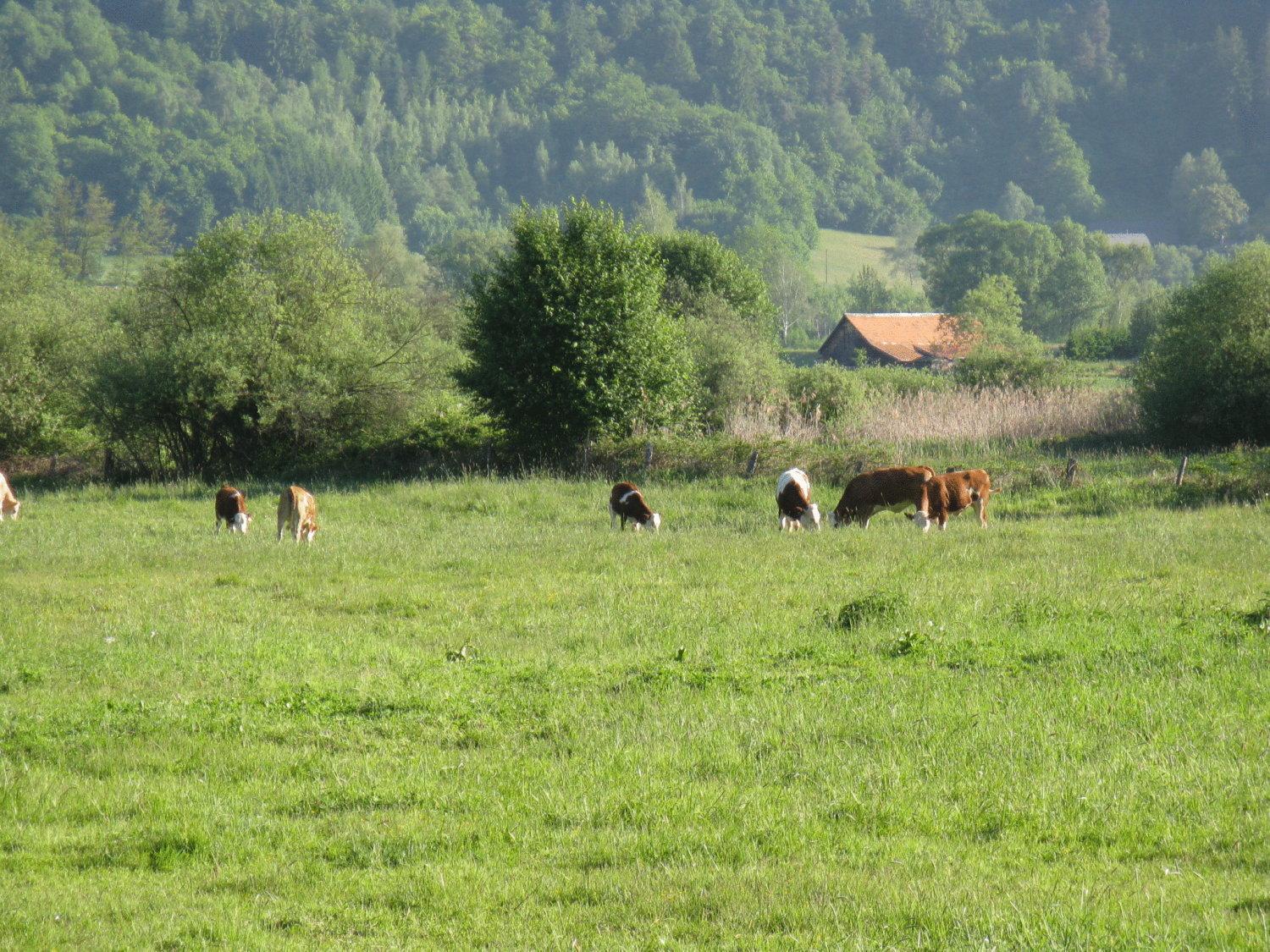 Gasthof Laggner Steindorf am Ossiacher See Buitenkant foto